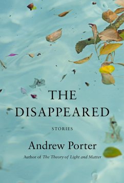 The Disappeared (eBook, ePUB) - Porter, Andrew
