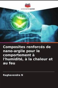 Composites renforcés de nano-argile pour le comportement à l'humidité, à la chaleur et au feu - N, Raghavendra