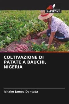 COLTIVAZIONE DI PATATE A BAUCHI, NIGERIA - Dantata, Ishaku James