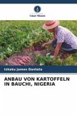 ANBAU VON KARTOFFELN IN BAUCHI, NIGERIA