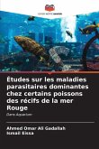 Études sur les maladies parasitaires dominantes chez certains poissons des récifs de la mer Rouge