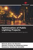 Optimization of Public Lighting Projects