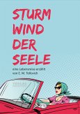 Sturmwind der Seele (eBook, ePUB)