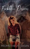 Forbidden Desires (Spring Lake, #2) (eBook, ePUB) Forbidden Desires (Spring Lake, #2) (eBook, ePUB)