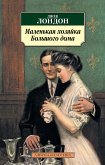 Маленькая хозяйка большого дома (eBook, ePUB)