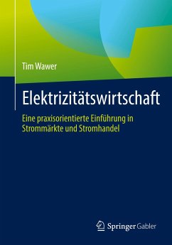 Elektrizitätswirtschaft - Wawer, Tim