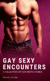 Gay Sexy Encounters (eBook, ePUB)