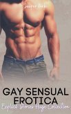 Gay Sensual Erotica (eBook, ePUB)