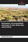 Dynamics of ecosystem services in the Oum Zes watershed