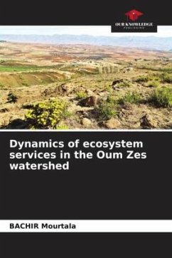 Dynamics of ecosystem services in the Oum Zes watershed - Mourtala, BACHIR
