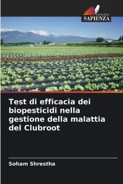 Test di efficacia dei biopesticidi nella gestione della malattia del Clubroot - Shrestha, Soham