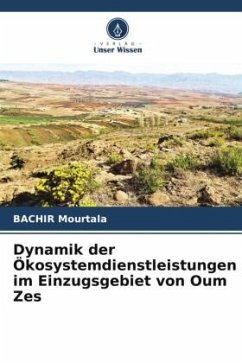 Dynamik der Ökosystemdienstleistungen im Einzugsgebiet von Oum Zes - Mourtala, BACHIR