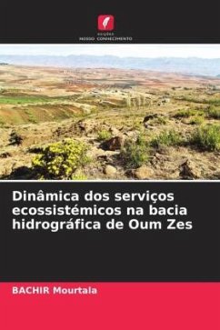 Dinâmica dos serviços ecossistémicos na bacia hidrográfica de Oum Zes - Mourtala, BACHIR