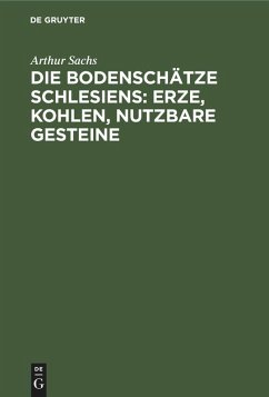 Cover Die Bodenschätze Schlesiens: Erze, Kohlen, nutzbare Gesteine