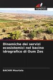 Dinamiche dei servizi ecosistemici nel bacino idrografico di Oum Zes