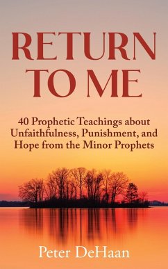 Return to Me (eBook, ePUB) - DeHaan, Peter