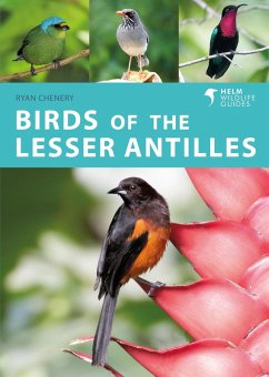 Birds of the Lesser Antilles (eBook, PDF) - Chenery, Ryan