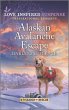 Alaskan Avalanche Escape (eBook, ePUB) - Bild 1