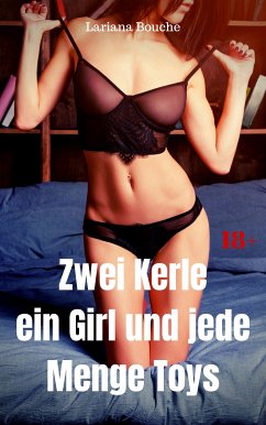 Zwei Kerle, ein Girl und jede Menge Toys (eBook, ePUB) - Bouche, Lariana