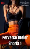 Perverse Dreier Shorts 1 (eBook, ePUB)