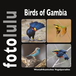 Birds of Gambia - fotolulu, Sr.