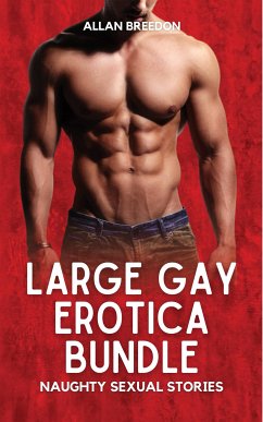 Large Gay Erotica Bundle (eBook, ePUB) - Breedon, Allan