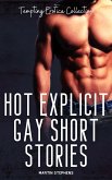 Hot Explicit Gay Short Stories (eBook, ePUB)
