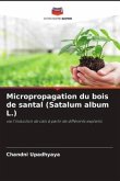 Micropropagation du bois de santal (Satalum album L.)