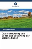 Ölverschmutzung von Böden und Bewertung der Bioremediation