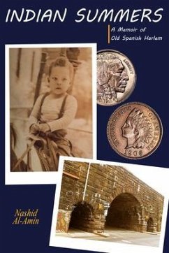 Cover Indian Summers (eBook, ePUB)