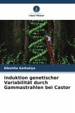 Induktion genetischer Variabilität durch Gammastrahlen bei Castor