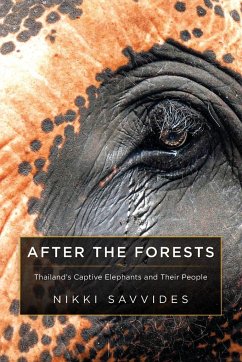 After the Forests - Savvides, Nikki