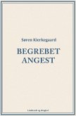 Begrebet angest