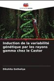 Induction de la variabilité génétique par les rayons gamma chez le Castor