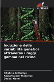 Induzione della variabilità genetica attraverso i raggi gamma nel ricino