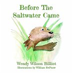 Before The Saltwater Came (eBook, ePUB)