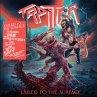 Exiled To The Surface - Bild 1