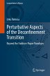 Perturbative Aspects of the... - Bild 1