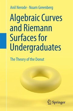 Algebraic Curves and Riemann Surfaces for Undergraduates - Nerode, Anil;Greenberg, Noam