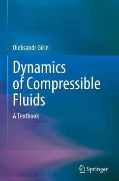 Dynamics of Compressible Fluids - Girin, Oleksandr