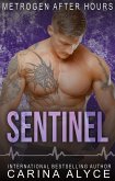 Sentinel: A Medical Romance (MetroGen After Hours, #4) (eBook, ePUB)