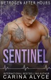 Sentinel: A Medical Romance (MetroGen After Hours, #4) (eBook, ePUB) Sentinel: A Medical Romance (MetroGen After Hours, #4) (eBook, ePUB)