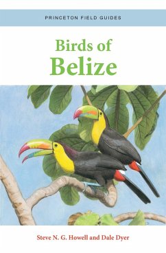 Birds of Belize (eBook, PDF) - Howell, Steve N. G.; Dyer, Dale