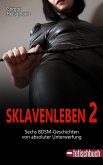 Sklavenleben 2 (eBook, ePUB)