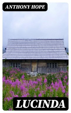 Cover Lucinda (eBook, ePUB)