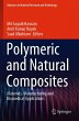 Polymeric and Natural Composites - Bild 1