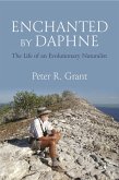 Enchanted by Daphne (eBook, PDF)