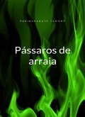 Pássaros de arraia (traduzido) (eBook, ePUB)