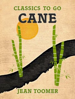 Cover Cane (eBook, ePUB)