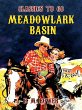 Meadowlark Basin (eBook, ePUB) - Bild 1